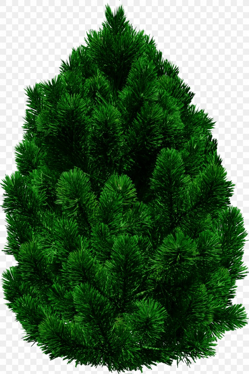 Tree, PNG, 900x1350px, Tree, Biome, Branch, Christmas Decoration, Christmas Tree Download Free