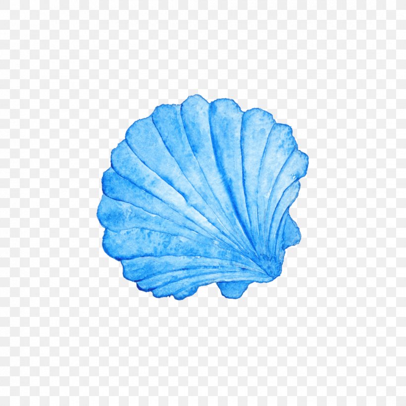 Seashell Watercolor Painting Photography Royalty-free, PNG, 1080x1080px, Seashell, Azure, Beach, Blue, Leaf Download Free