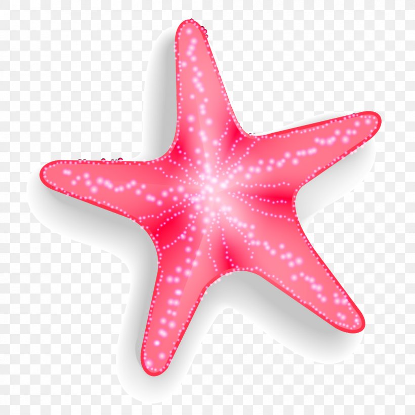Starfish Euclidean Vector Pisaster Brevispinus, PNG, 1042x1042px, Starfish, Callopatiria Granifera, Echinoderm, Force, Invertebrate Download Free