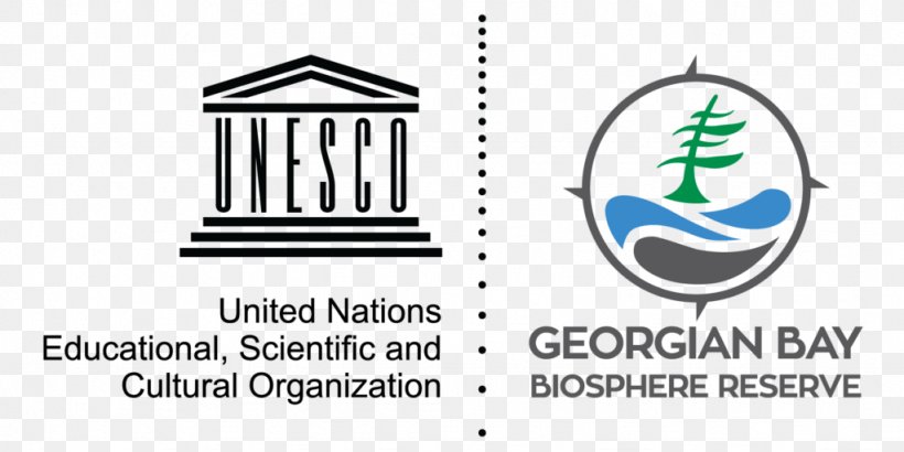 UNESCO Organization Education International Culture, PNG, 1024x512px, Unesco, Area, Brand, Collaboration, Cultural Diversity Download Free