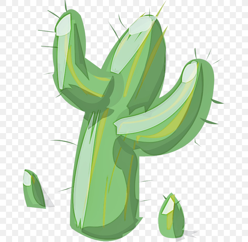 Cactus, PNG, 667x800px, Green, Cactus, Flower, Plant Download Free