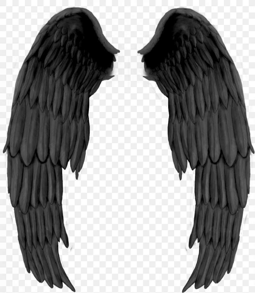 Fallen Angel Drawing Darkness, PNG, 837x962px, Angel, Beak, Bird Of Prey, Black, Black And White Download Free