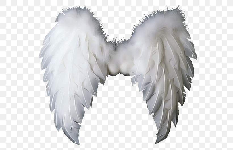 Feather, PNG, 602x526px, White, Angel, Costume Accessory, Feather, Silver Download Free