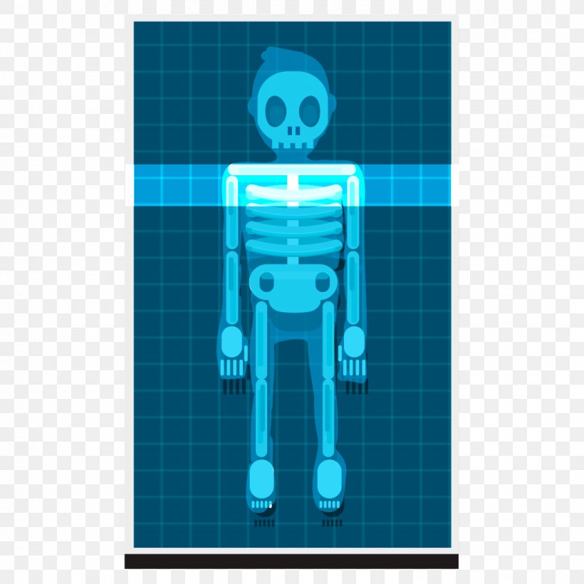 Human Skeleton Human Body X-ray Homo Sapiens, PNG, 1080x1080px, Human Skeleton, Azure, Blue, Electric Blue, Fotolia Download Free