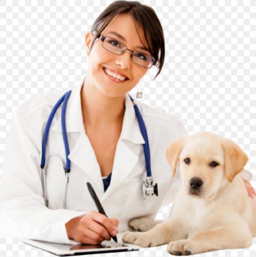 Dog Veterinarian Profession Physician Puppy, PNG, 1003x1005px, Dog, Canidae, Companion Dog, Dog Breed, Dog Like Mammal Download Free