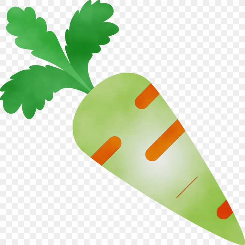 Green Leaf Carrot Plant Vegetable, PNG, 3000x3000px, Carrot, Green, Leaf, Leaf Vegetable, Paint Download Free