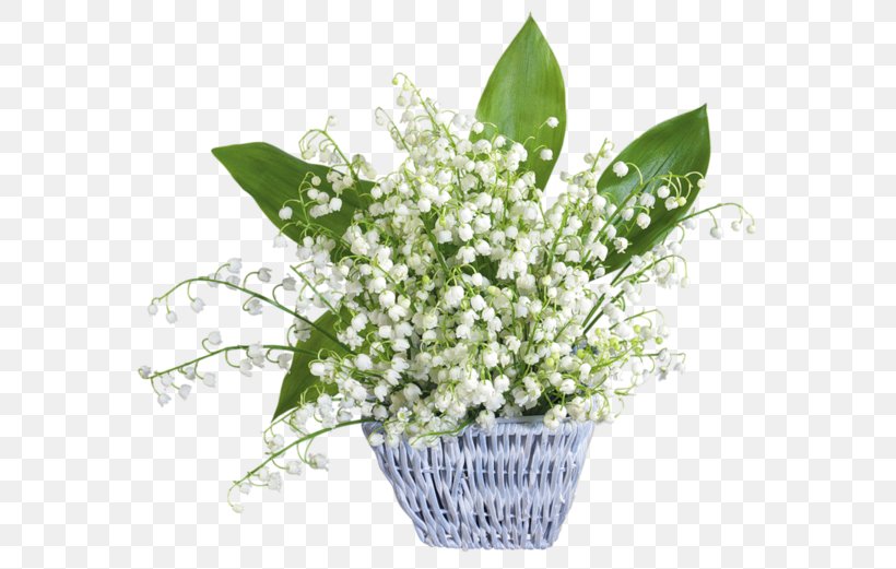 Lily Of The Valley Flower Desktop Wallpaper France 1 May, PNG, 600x521px, Lily Of The Valley, Blingee, Cut Flowers, Floral Design, Floristry Download Free