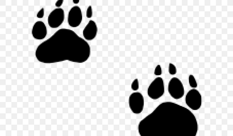 Lil fremstille Forræderi Clip Art Polar Bear Paw American Black Bear, PNG, 640x480px, Bear, American  Black Bear, Blackandwhite, Claw,