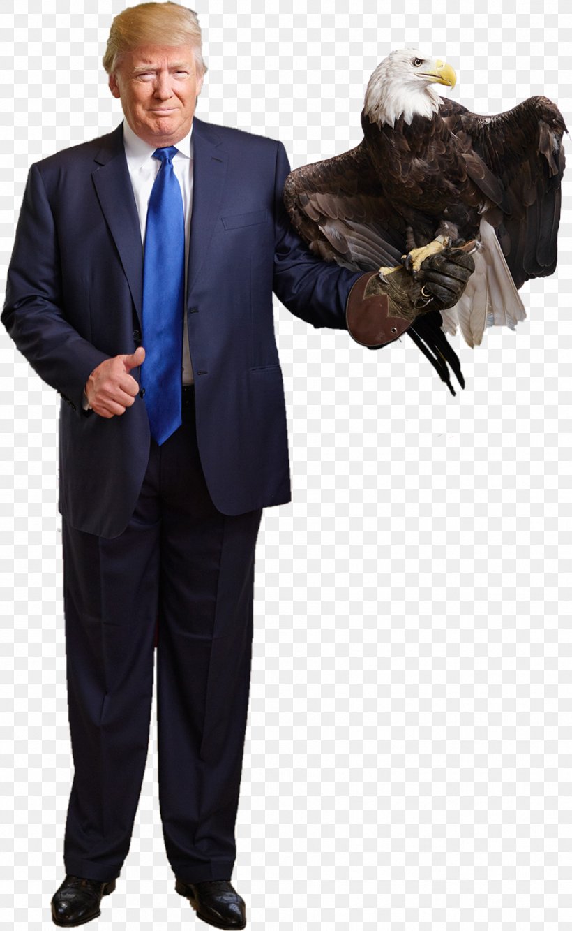 Donald Trump United States Bald Eagle Make America Great Again, PNG, 913x1485px, Watercolor, Cartoon, Flower, Frame, Heart Download Free