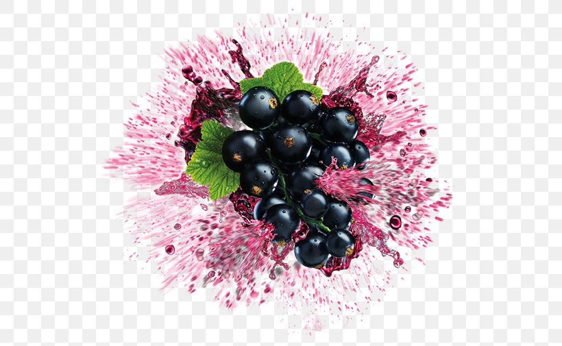 Grape Zante Currant Bilberry Blueberry Huckleberry, PNG, 578x505px, Grape, Auglis, Berry, Bilberry, Blackberry Download Free