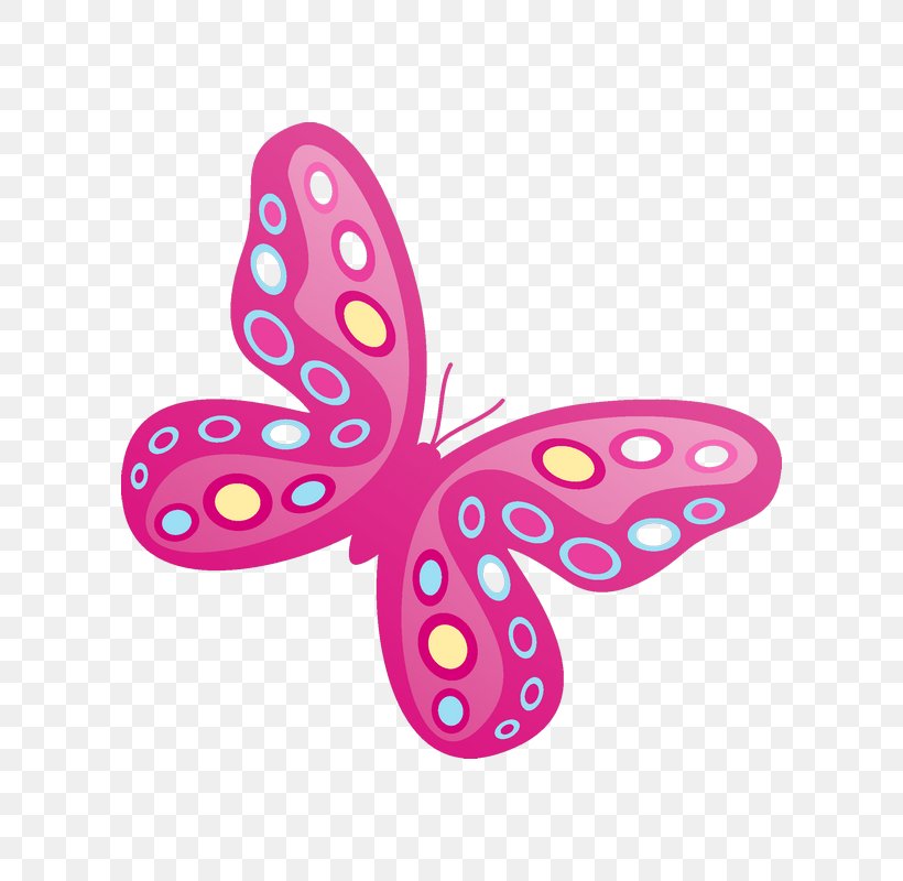 Vector Graphics Image Clip Art Illustration, PNG, 800x800px, Butterfly, Color, Coloring Book, Insect, Invertebrate Download Free