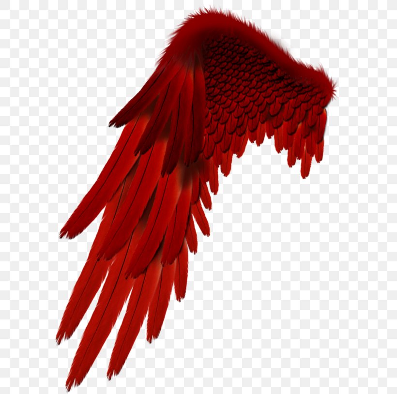 Devil Wing Clipart Hd PNG, Hand Draw Red Devil Wings, Devil Wings, Hand Draw,  Devil PNG Image For Free Download
