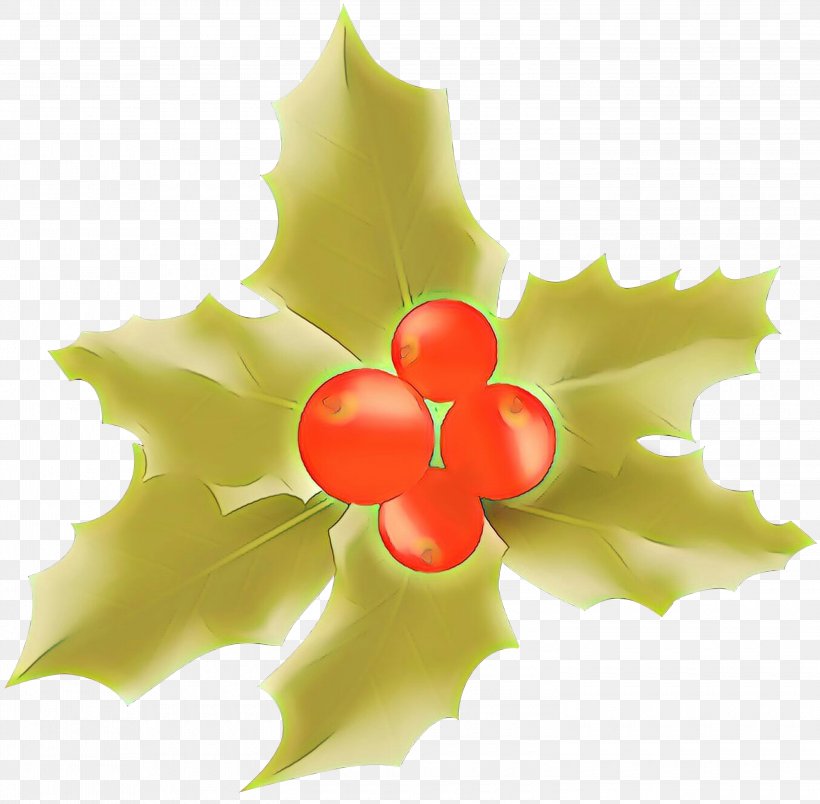 Holly, PNG, 3000x2945px, Cartoon, Flower, Holly, Leaf, Petal Download Free