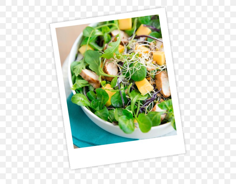 Salad Vegetarian Cuisine Vinaigrette Recipe Pesto, PNG, 555x637px, Salad, Apple Cider Vinegar, Arugula, Chard, Chicken As Food Download Free