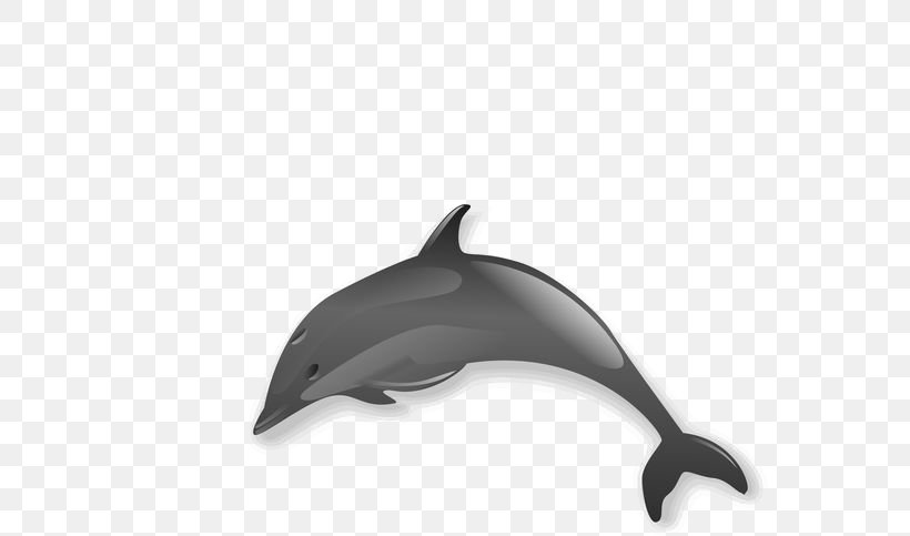 Spinner Dolphin Clip Art, PNG, 564x483px, Spinner Dolphin, Black, Black And White, Blog, Bottlenose Dolphin Download Free