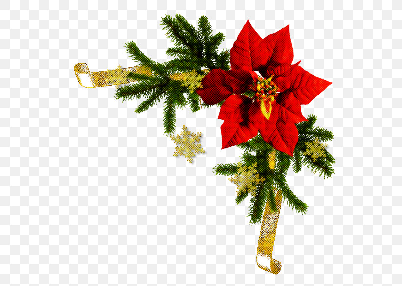Christmas Day, PNG, 596x584px, Blog, Christmas Day, Christmas Ornament M, Cut Flowers, Idea Download Free