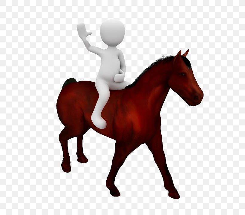 Download Pixabay Illustration, PNG, 720x720px, Pixabay, Alamy, Bridle, Colt, English Riding Download Free