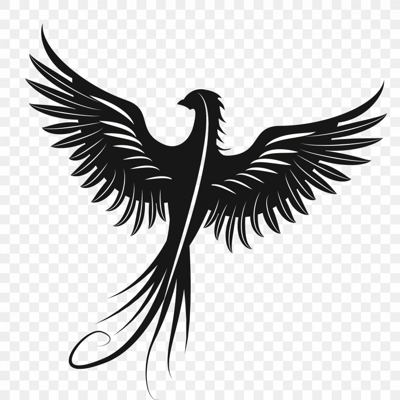 Eagle Silhouette Beak Feather Font, PNG, 2544x2544px, Eagle, Beak, Bird, Bird Of Prey, Black And White Download Free