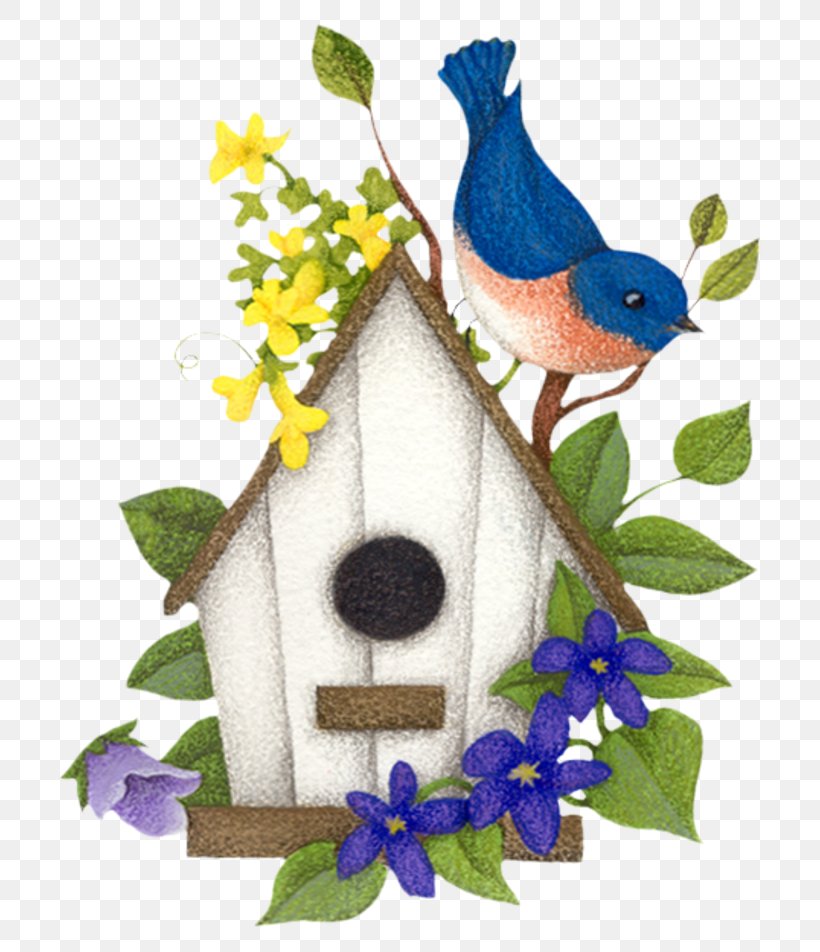 Bird Clip Art, PNG, 800x952px, Bird, Advertising, Art, Beak, Birdhouse Download Free