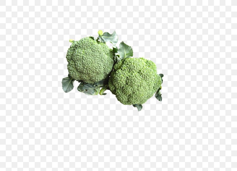 Broccoli Cauliflower Vegetable, PNG, 591x591px, Broccoli, Brassica Oleracea, Cauliflower, Flower, Food Download Free