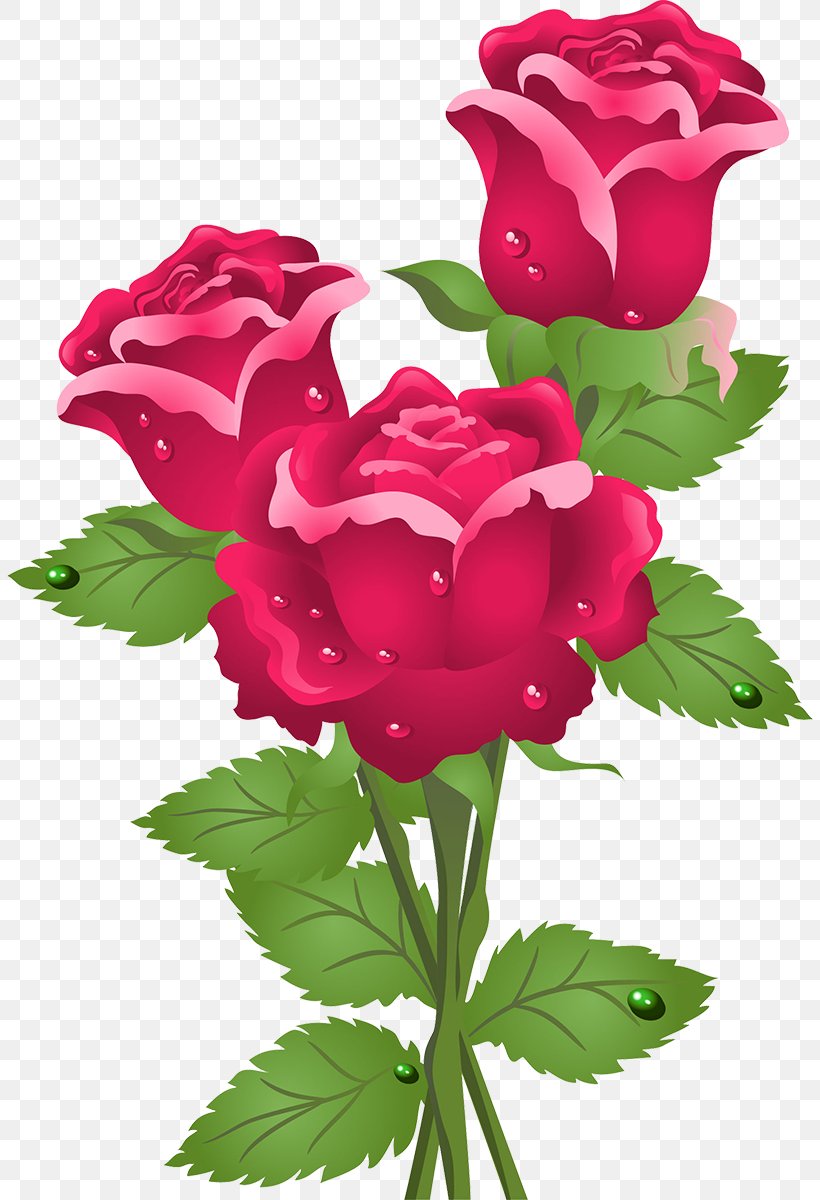 Rose Flower Clip Art, PNG, 806x1200px, Rose, Annual Plant, Cut Flowers ...