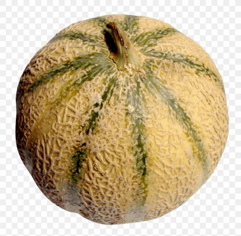 Cantaloupe Galia Melon Hami Melon, PNG, 850x835px, Cantaloupe, Calabaza, Commodity, Cucumber Gourd And Melon Family, Cucumis Download Free