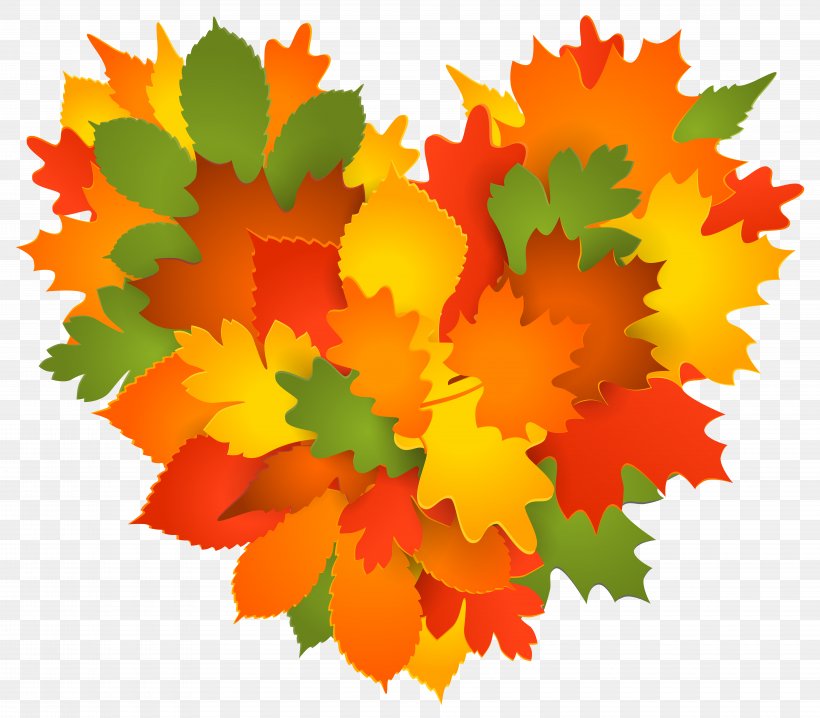 Clip Art Image Autumn Heart, PNG, 8000x7005px, Autumn, Art, Black Maple, Deciduous, Flower Download Free