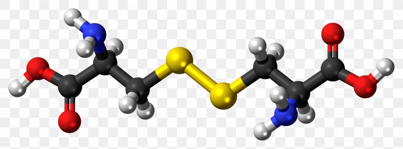 Glutamine Amino Acid Cytochrome P450 Testosterone, PNG, 2695x1000px, Glutamine, Acid, Amide, Amino Acid, Arginine Download Free
