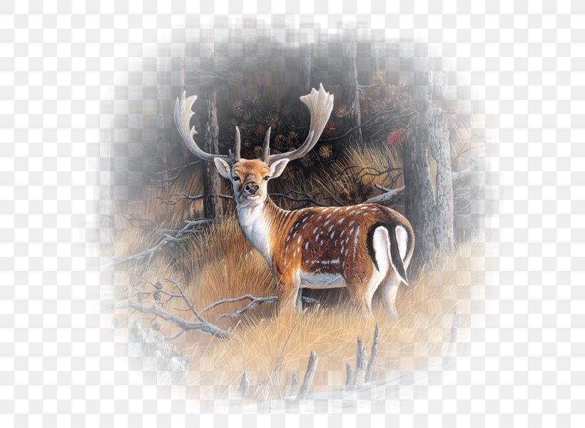 Reindeer Painter Painting Canvas Art, PNG, 600x600px, Reindeer, Animal Painter, Animal Painting, Antler, Art Download Free