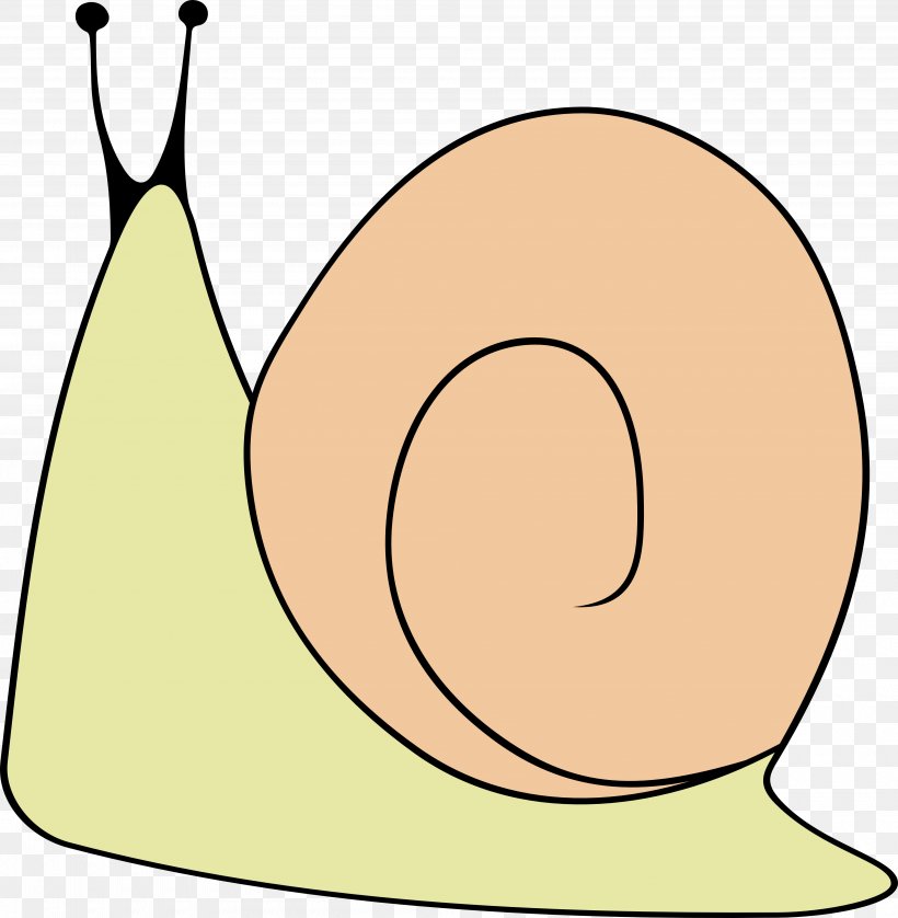 Snail Cartoon Line Beak Clip Art, PNG, 4000x4091px, Snail, Area, Artwork, Beak, Cartoon Download Free