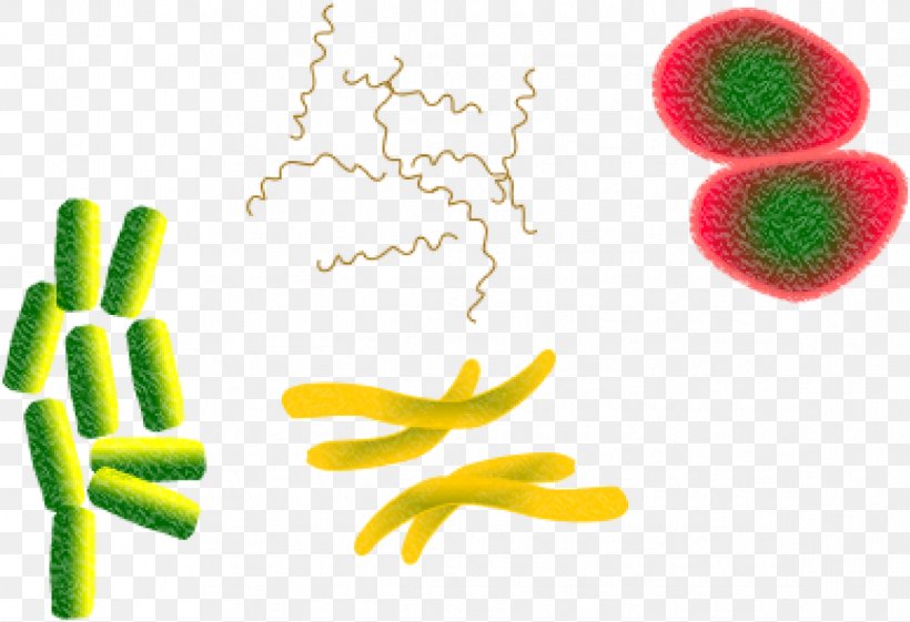 Bacteria Cartoon, PNG, 1169x800px, Bacteria, Disease, Germ Theory Of Disease, Hand, Health Download Free