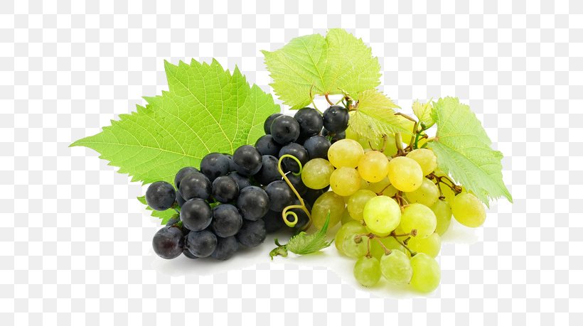Cabernet Sauvignon Maryland Wine Berry Grape, PNG, 658x459px, Cabernet Sauvignon, Berry, Brix, Common Grape Vine, Drink Download Free