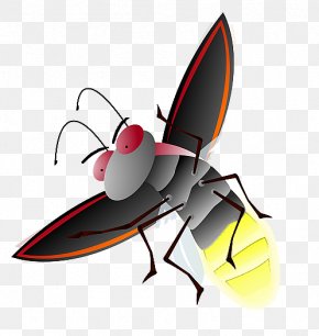 Firefly File - Clip Art PNG