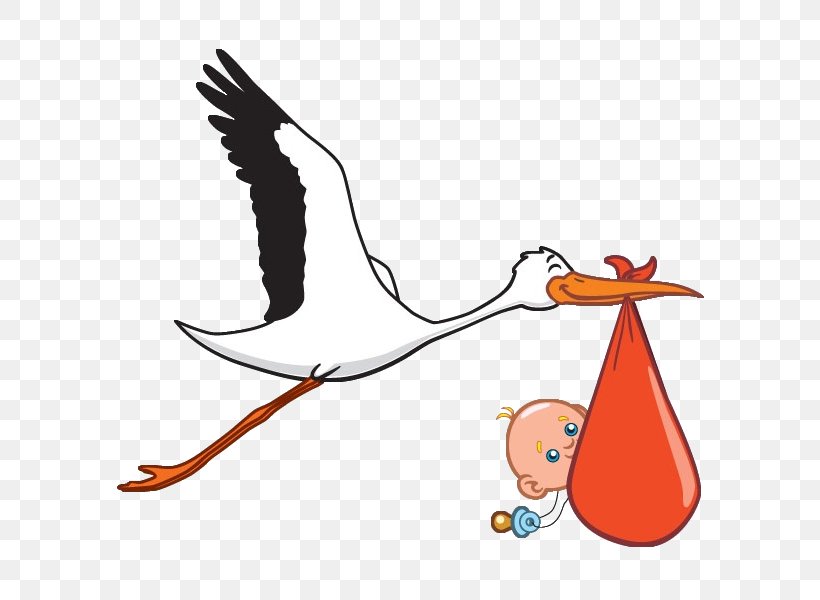 Crane Bird Clip Art Infant Vector Graphics, PNG, 600x600px, Crane, Area, Artwork, Beak, Bird Download Free
