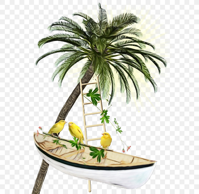 Palm Tree, PNG, 600x800px, Watercolor, Arecales, Coconut, Date Palm, Flowerpot Download Free
