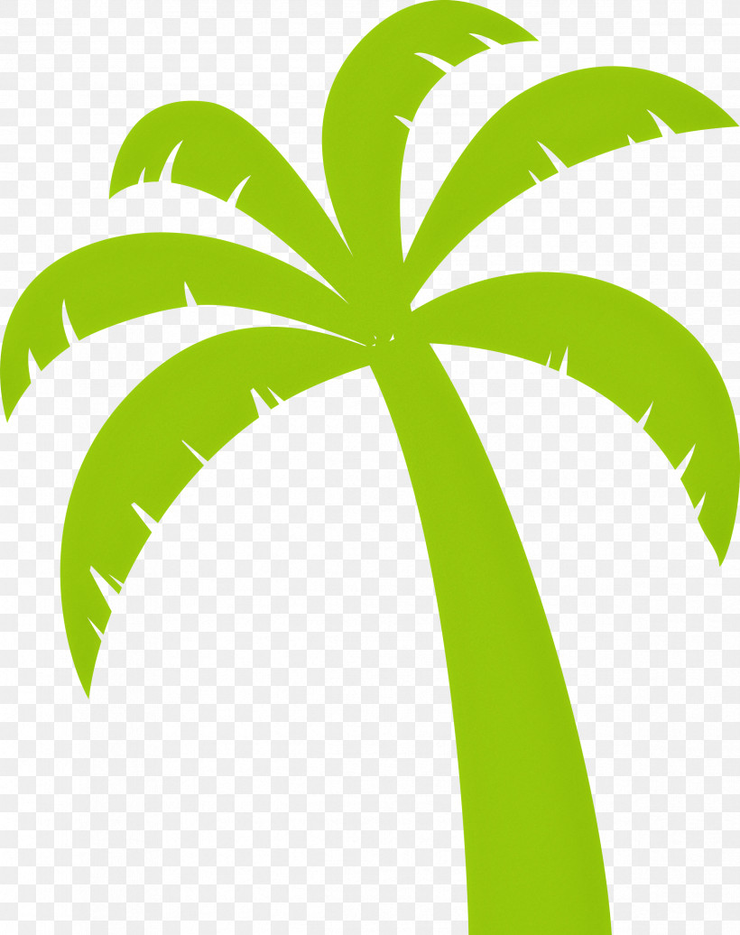 Palm Trees, PNG, 2373x2999px, Palm Tree, Areca Palm, Beach, Branch, Cartoon Tree Download Free