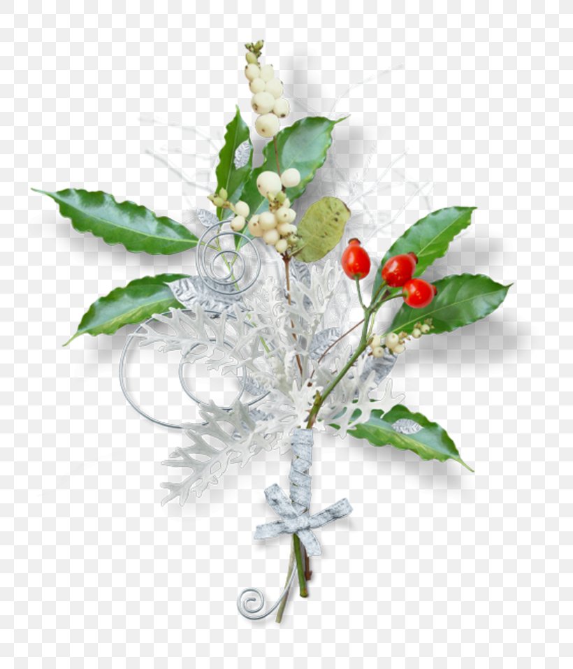 Christmas Day Clip Art Image GIF, PNG, 800x957px, Christmas Day, Aquifoliaceae, Blog, Branch, Cut Flowers Download Free