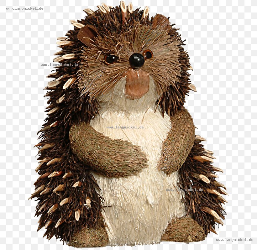 Domesticated Hedgehog Beaver Porcupine Squirrel, PNG, 800x800px, Domesticated Hedgehog, Animal, Beaver, Centimeter, Domestication Download Free