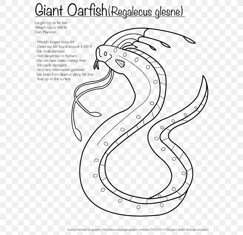 Giant Oarfish Coloring Book Drawing Bony Fishes Animals That Hibernate, PNG, 612x792px, Watercolor, Cartoon, Flower, Frame, Heart Download Free