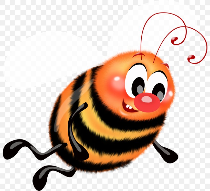 Ladybird Beetle Insect Western Honey Bee Bumblebee, PNG, 800x749px, Bee, Animal, Bumblebee, Butterfly, Drawing Download Free
