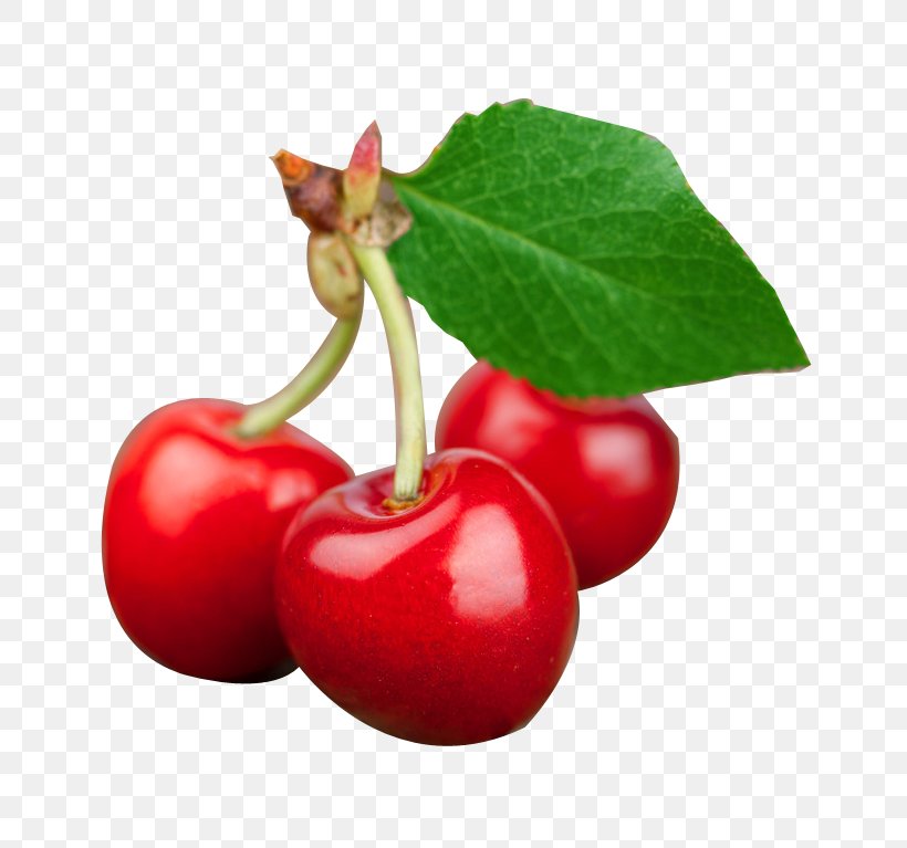 Prunus Tomentosa Cherry Cerasus Auglis Wallpaper, PNG, 793x767px, Prunus Tomentosa, Accessory Fruit, Acerola, Acerola Family, Auglis Download Free