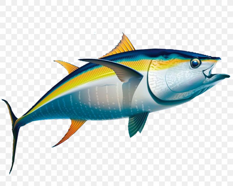 Yellowfin Tuna Fishing Albacore, PNG, 1000x800px, Yellowfin Tuna, Albacore, Atlantic Bluefin Tuna, Bigeye Tuna, Bony Fish Download Free