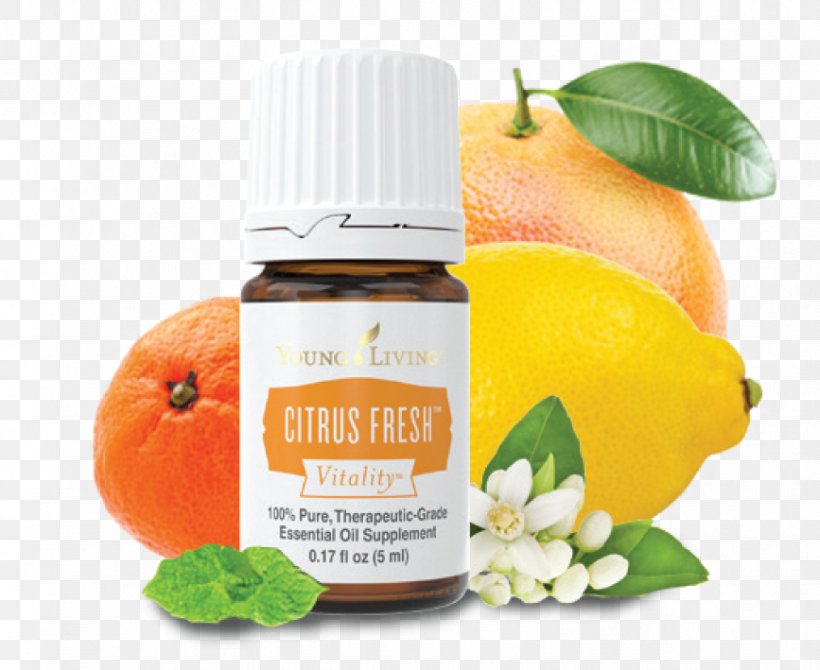 Clementine Tangerine Lemon Essential Oil, PNG, 867x709px, Clementine, Citric Acid, Citrus, Diet Food, Essential Oil Download Free