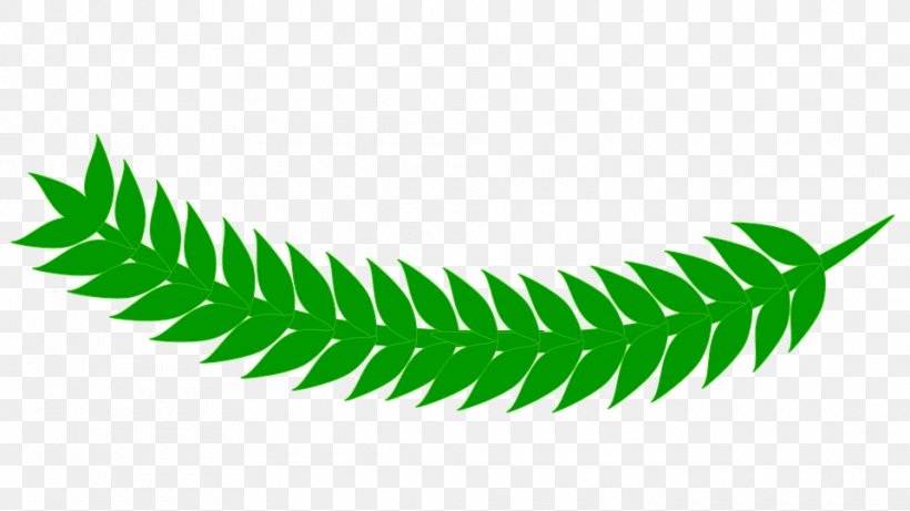 Clip Art Leaf Green Image, PNG, 960x540px, Leaf, Fern, Grass, Green, Megabyte Download Free