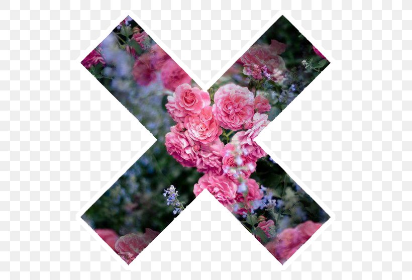 Floral Design Sticker Desktop Wallpaper, PNG, 557x557px, Floral Design, Cut Flowers, Floristry, Flower, Flower Arranging Download Free