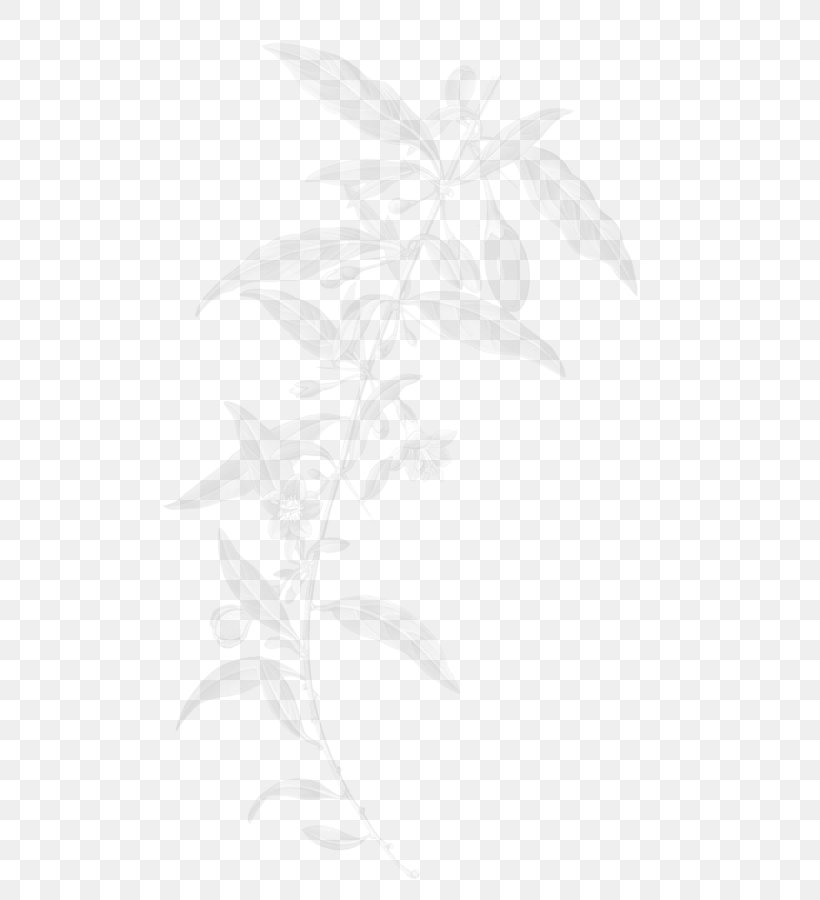 Goji Berry Food Drying Organic Food, PNG, 510x900px, Goji, Berry, Black And White, Branch, Certification Download Free