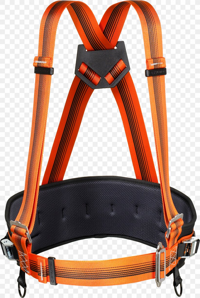 Horse Tack Climbing Harnesses Strap, PNG, 2144x3185px, Horse Tack, Belt, Climbing, Climbing Harness, Climbing Harnesses Download Free