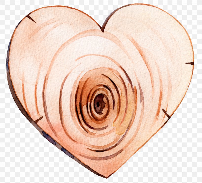 Wood Grain, PNG, 2900x2636px, Watercolor, Cartoon, Flower, Frame, Heart Download Free