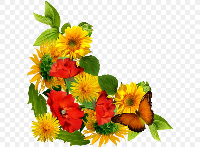 Flower, PNG, 600x600px, Flower, Annual Plant, Calendula, Chrysanths, Cut Flowers Download Free