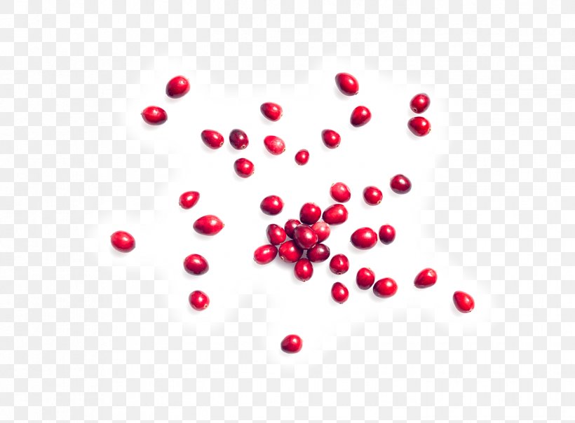 Cranberry Kind Almond Nut Pink Peppercorn, PNG, 1425x1050px, Cranberry, Almond, Antioxidant, Berry, Computer Download Free